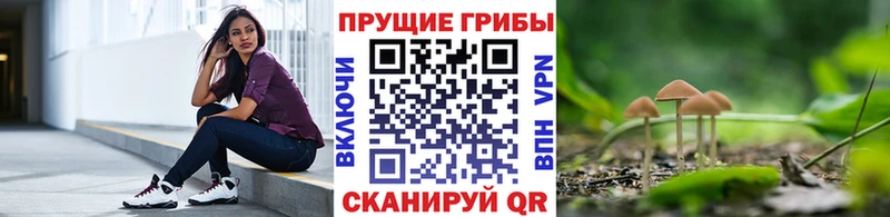 купить   Изобильный  Галлюциногенные грибы прущие грибы 